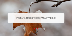 prepara tus espacios